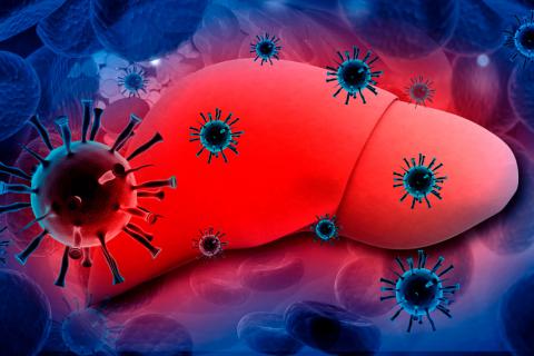 hepatitis_1